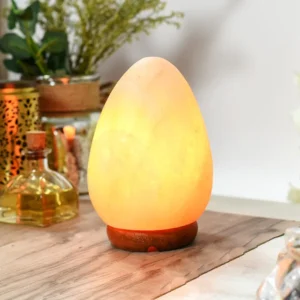 Himalayan Egg Shape Salt Lamp Big S:8*7